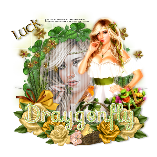 draygonfly