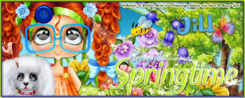 springtimecrazybannerjill