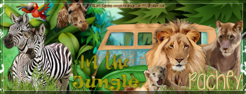 2safariwaybannerachey