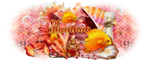 Image3shannon.png
