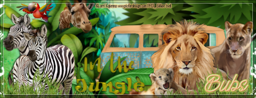 2safariwaybannerbubs