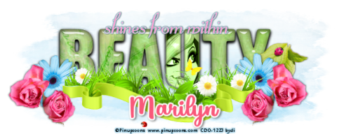 beautybannermarilyn.png