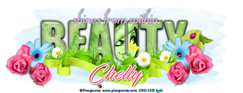 2beautybannerchelly..png