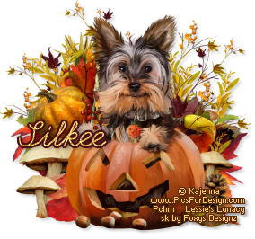 Silkee_Pupkin_Pchm_B.png