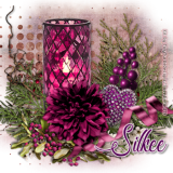 Alex-Prihodko-Alicia-garnetwinter-cluster-Silkee.png