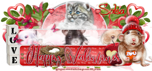 HappyValentines2salsa..png