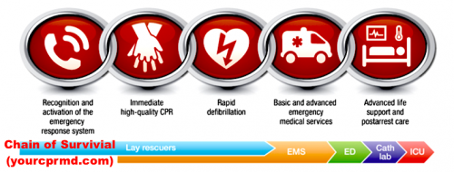 ACLS Class Joshua Tree CA
https://yourcprmd.enrollware.com/schedule/
PALS is the abbreviated form of the Pediatric Advanced Life Support program designed for healthcare service providers and other individuals willing to manage critically ill kids. According to the instructors providing PALS Certification in Joshua Tree CA, PALS is an online and self-paced type of instructional program and it imparts knowledge and skills required for recognizing and preventing the problem of cardiopulmonary arrest in children and infants. 
CPR AED Joshua Tree CA, CPR and Basic Life Support Joshua Tree CA