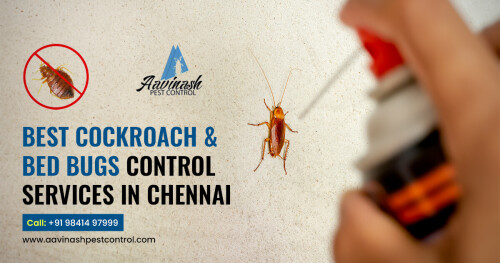 We provide specialized, responsive, accessible, and reliable pest control services to residential and commercial customers. If you need practical and specific pest control services, call us at +91 98414 97999

Visit our website: http://www.aavinashpestcontrol.com/