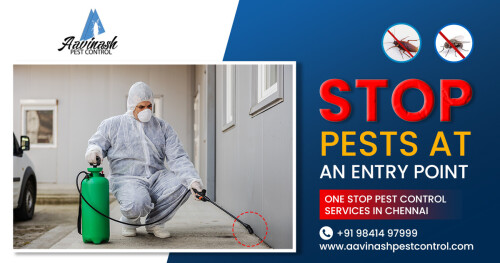 Aavinashpestcontrol, is one of the leading pest control services/house hold disinfestations in Chennai. It is important to ruin the constant assault of mosquitoes, termites, ants, cockroaches, bed bugs, spiders, rodents, flies, and wasp. The common pest control encroaching your home or business place. Hence, we are providing an excellent service with latest technologies.

Visit Our Website: http://www.aavinashpestcontrol.com/