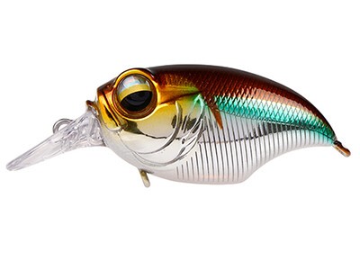 Crankbait.jpg