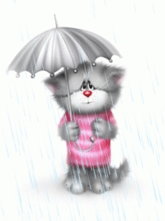 Cute kitty with umbrella