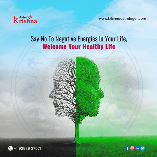 Negative-Energy-Removal-Astrologer-Krishna.jpg